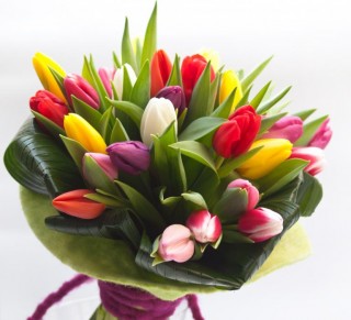 consegna-a-domicilio-tulipani-misti.jpg