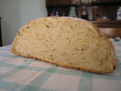 P5222869 - Copia.JPG