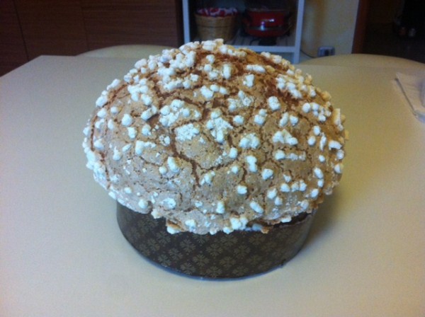 foto (600 x 448).jpg