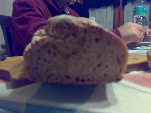 Copia di Fotissime603.jpg