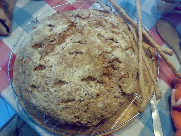 Copia di Fotissime608.jpg