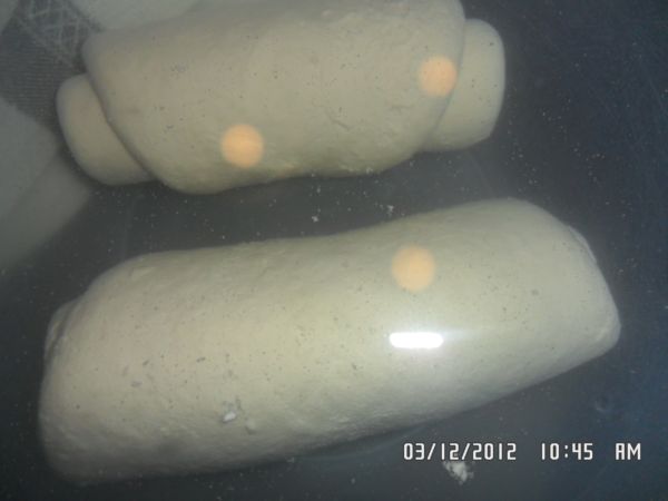 lievito madre in acqua 010.jpg