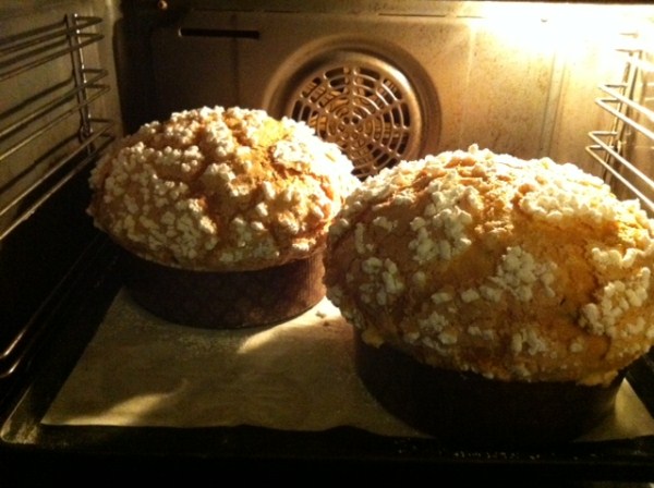 foto (600 x 448).jpg