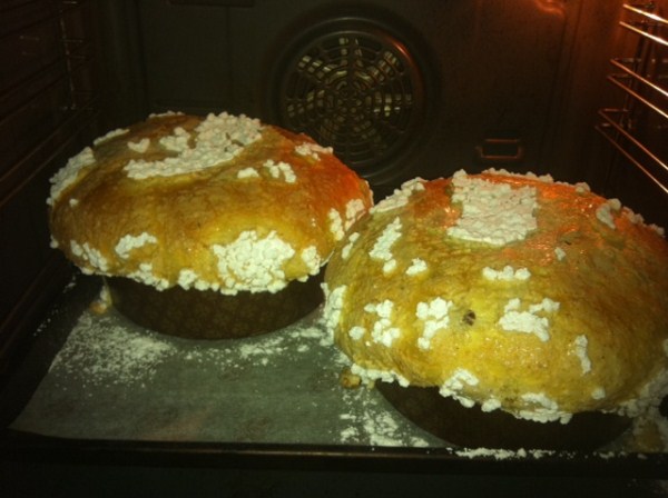 foto (600 x 448).jpg