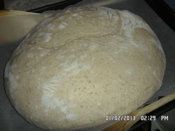 pane con lm scartato 002.jpg