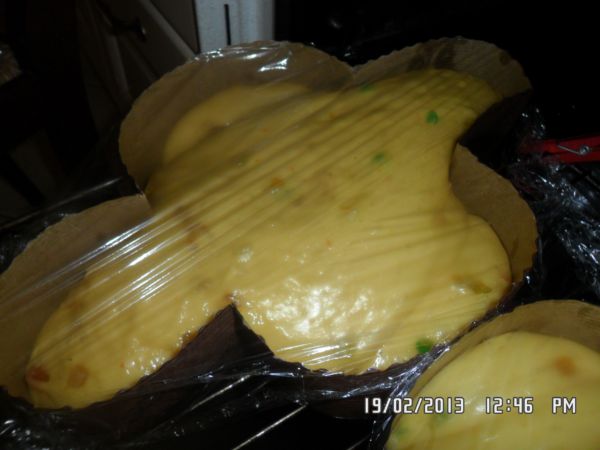 colomba di Adriano 004.jpg