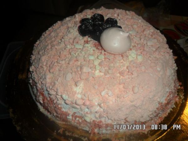 pink sweet Illary 006.jpg