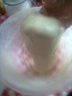 Foto0227 - Copia.jpg