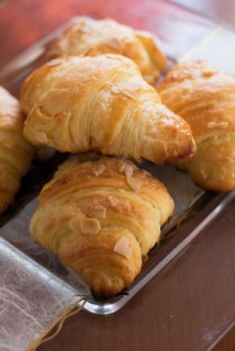 DSC_0419_tn 3_resized.jpg