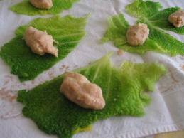 Involtini di verza a modo mio1.jpg