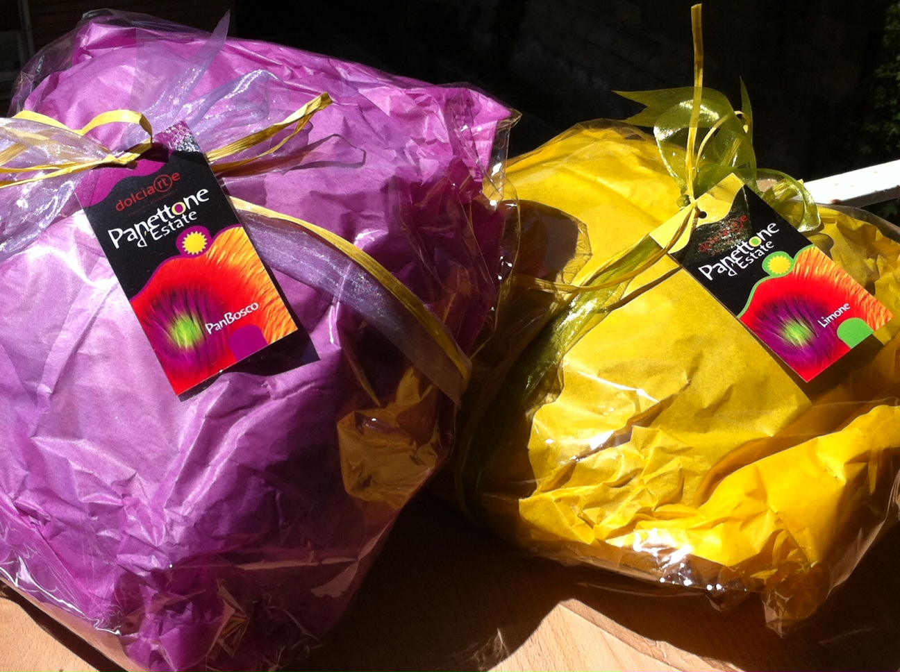 QUATTRO STAGIONI DI R. MORANDIN.jpg