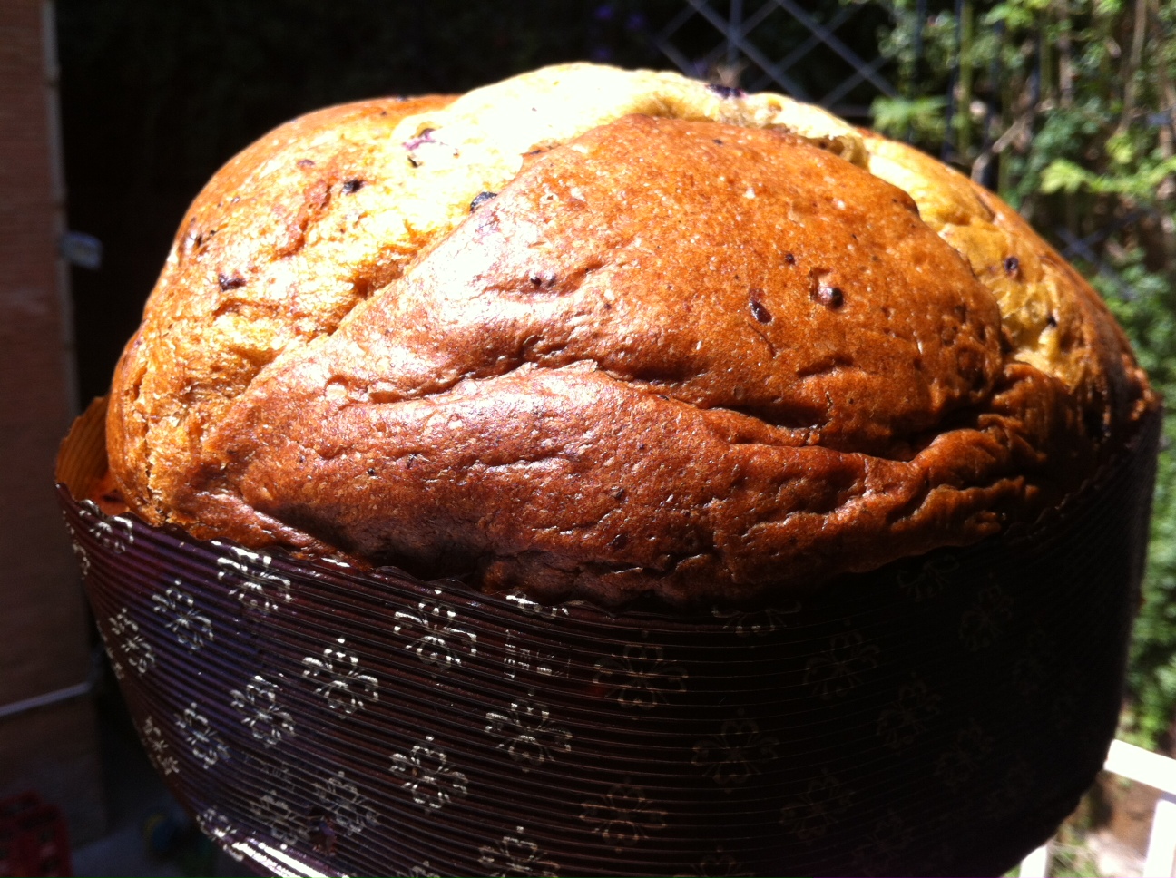 QUATTRO STAGIONI DI R. MORANDIN1.jpg