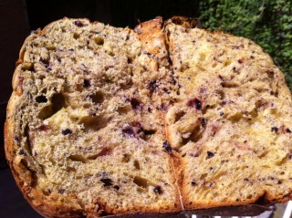 QUATTRO STAGIONI DI R. MORANDIN2.jpg