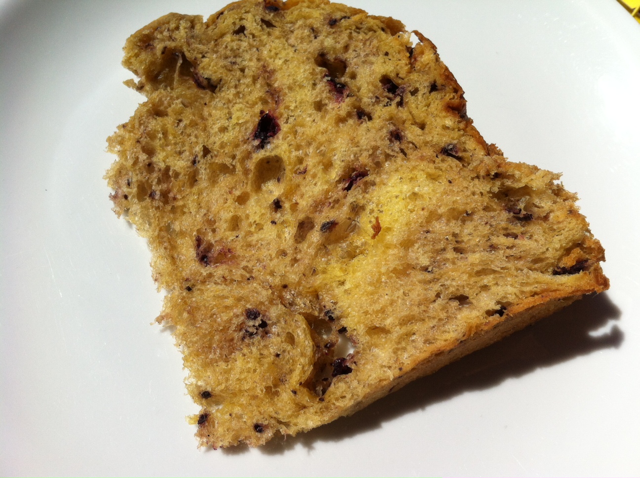 QUATTRO STAGIONI DI R. MORANDIN3.jpg