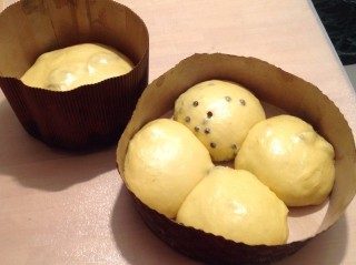 QUATTRO STAGIONI DI R. MORANDIN.jpg