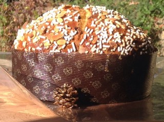 QUATTRO STAGIONI DI R. MORANDIN1.jpg