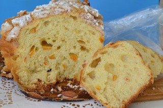 Eccola ,con Osmo.jpg