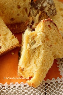 Rolando Morandin2.jpg