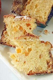 Colomba con LM - Adriano2.jpg