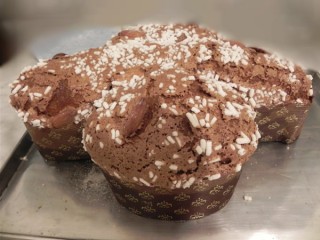 La Colomba con LMAchille Zoia1.jpg