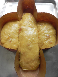 La Colomba con LMAchille Zoia5.jpg