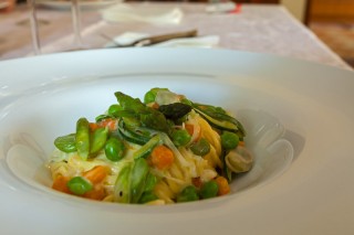 Taglioni di primavera.jpg