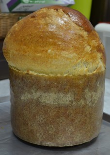 panettonegastronomico.jpg