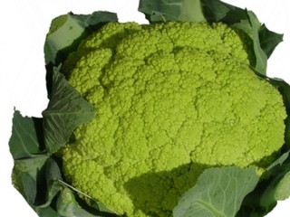 cavolfiore-verde.jpg