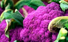 cavolo viola.jpg