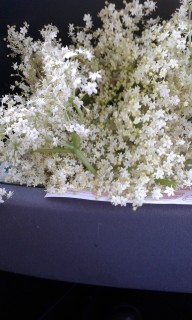 20180514_185832.jpg